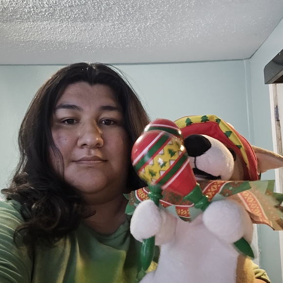 Festive Dog Plush with Maracas - Picture 1 of 2